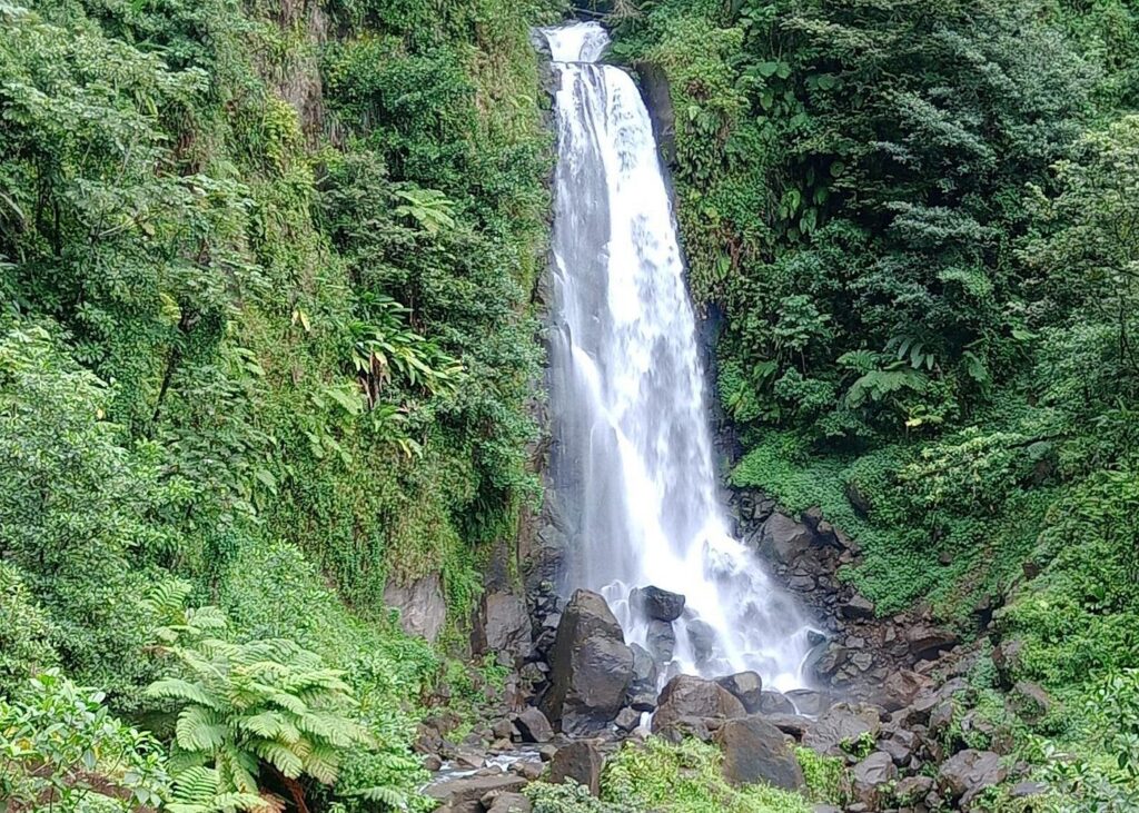 Dominica Scenic Waterfalls and Hot Springs @ Autop Tours