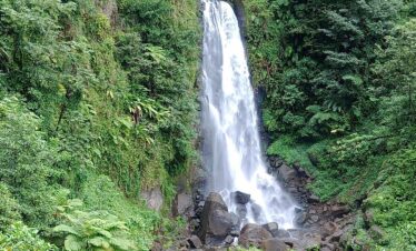 Dominica Scenic Waterfalls and Hot Springs @ Autop Tours