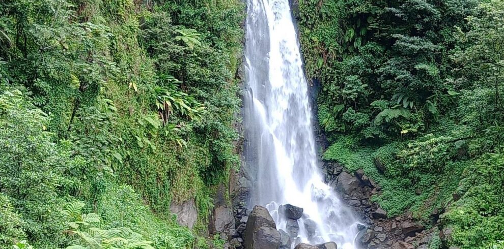 Dominica Scenic Waterfalls and Hot Springs @ Autop Tours