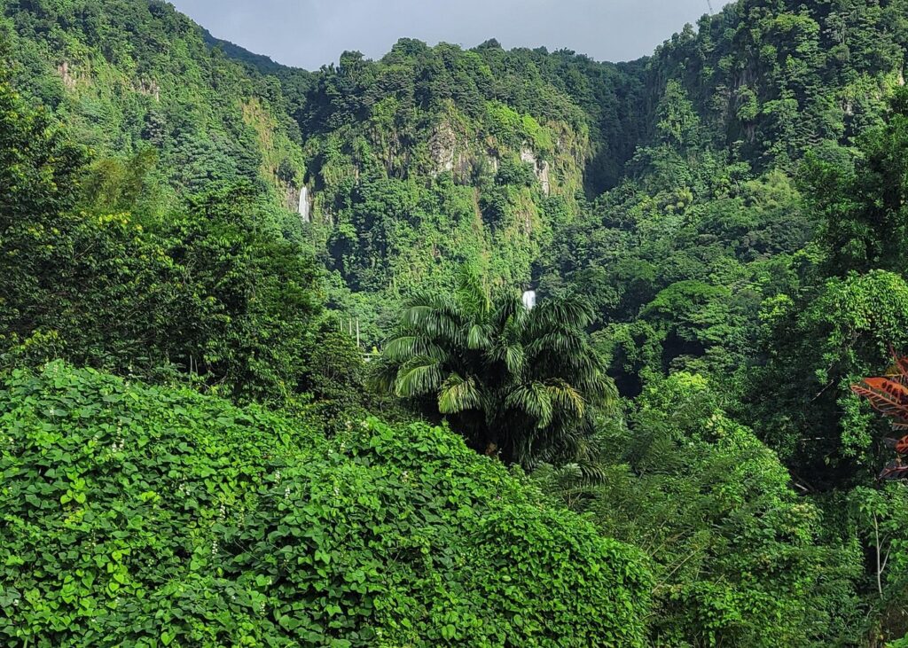 Trip Search Result Dominica Scenic Waterfalls and Hot Springs @ Autop Tours
