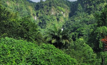 Dominica Scenic Waterfalls and Hot Springs @ Autop Tours