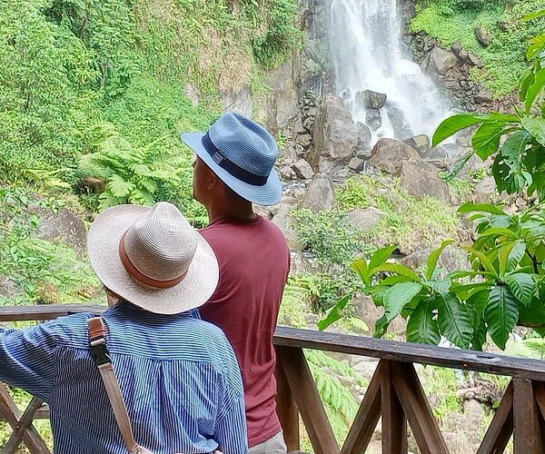Dominica Waterfalls Full Day Private Expedition @ AUTOP TOURS