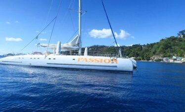 Waitukubuli Dolphin and Whale Watch in Dominica