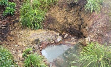 Dominica Scenic Waterfalls and Hot Springs @ Autop Tours