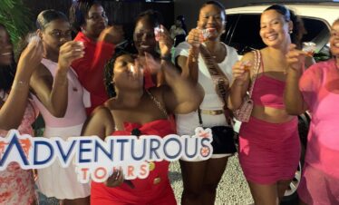 Party Bus Bar Hopping Nightlife with Shots in Sint Maarten