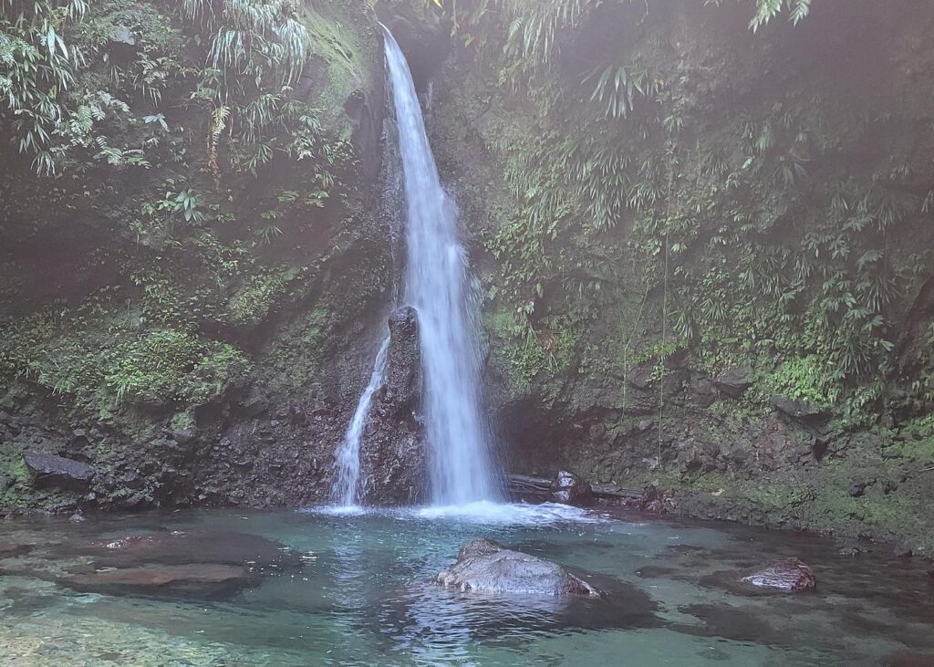 Trip Search Result Dominica Waterfalls Full Day Private Expedition @ AUTOP TOURS