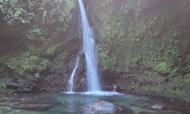 Dominica Waterfalls Full Day Private Expedition @ AUTOP TOURS