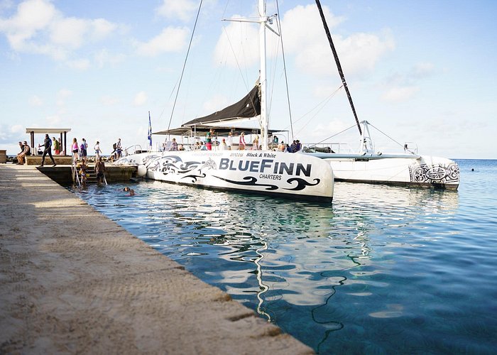 Klein Curacao Day Trip with Premium Open Bar and BBQ-Lunch
