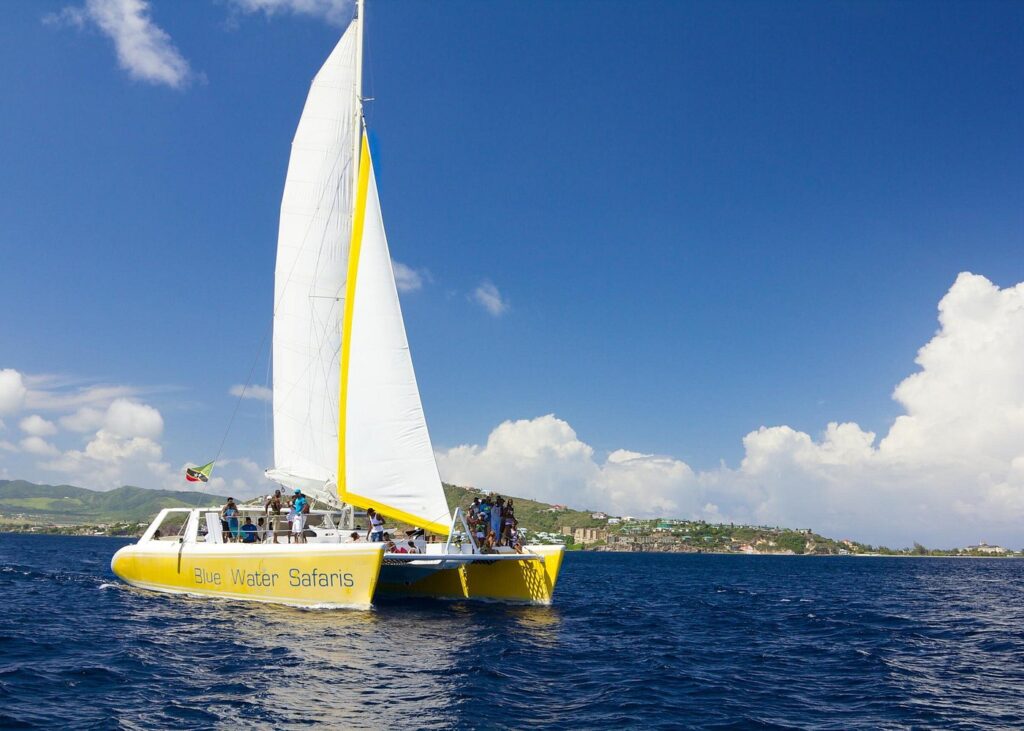 Trip Search Result St Kitts Full Day Catamaran to Nevis