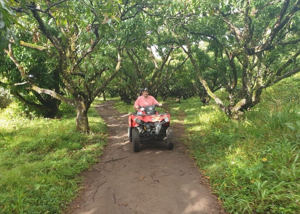 Trip Search Result ATV Tour of St Kitts