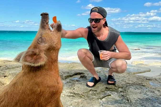 Nassau Cruise Port: How to Visit the Swimming Pigs in One Day Nassau Cruise Port Swimming Pigs Excursion to Rose Island